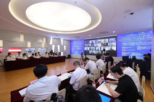 攜手云端 共贏未來 中歐經貿與投資合作云峰會暨中國-中東歐跨境產業投資促進在線推介會圓滿落幕