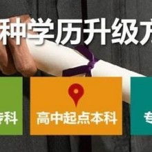 成都市金牌思維教育咨詢有限責任公司 專業教育咨詢，點亮成長之路